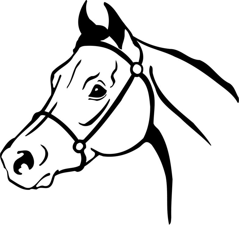 Arabian horse head clipart free images 3