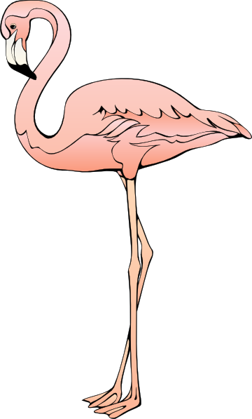 Are you in need of a pink flamingo clip art for use on your projects? Search no more because you can use this nice flamingo clip art on your bird books, ...