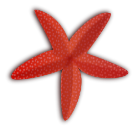 Are you looking for a starfish clip art for use on your projects? You can  use this nice starfish clip art on your websites, reference books, school  projects ...