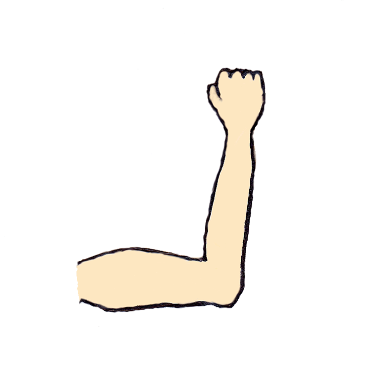 Arm Clip Art - Clip Art Arm
