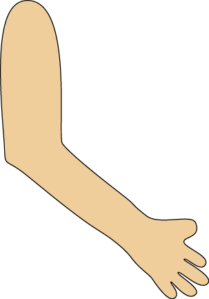 Arms Art Clip