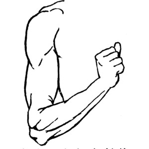 clipart arm black and white c