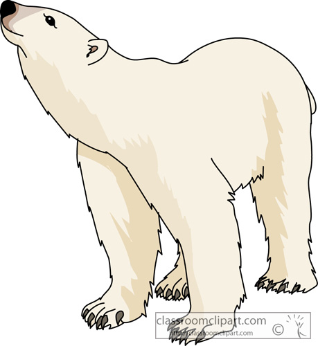 Art polar bear clipart clipart kid 3