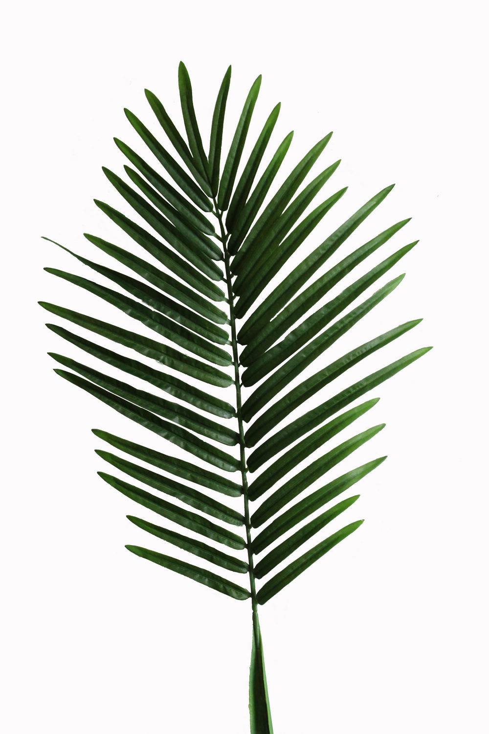 Artificial Leaf Palm Tree Pal - Palm Leaf Clipart