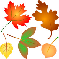 Autumn Leaves Clip Art - Fall Leaves Clip Art Free