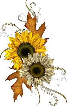 Autumn Clip Art And Images On - Fall Flowers Clip Art
