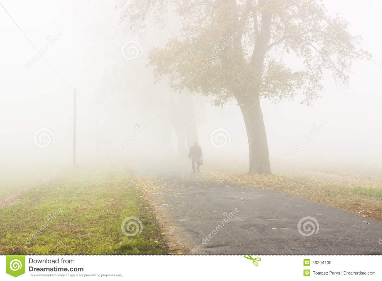 Autumn foggy day - Poland.