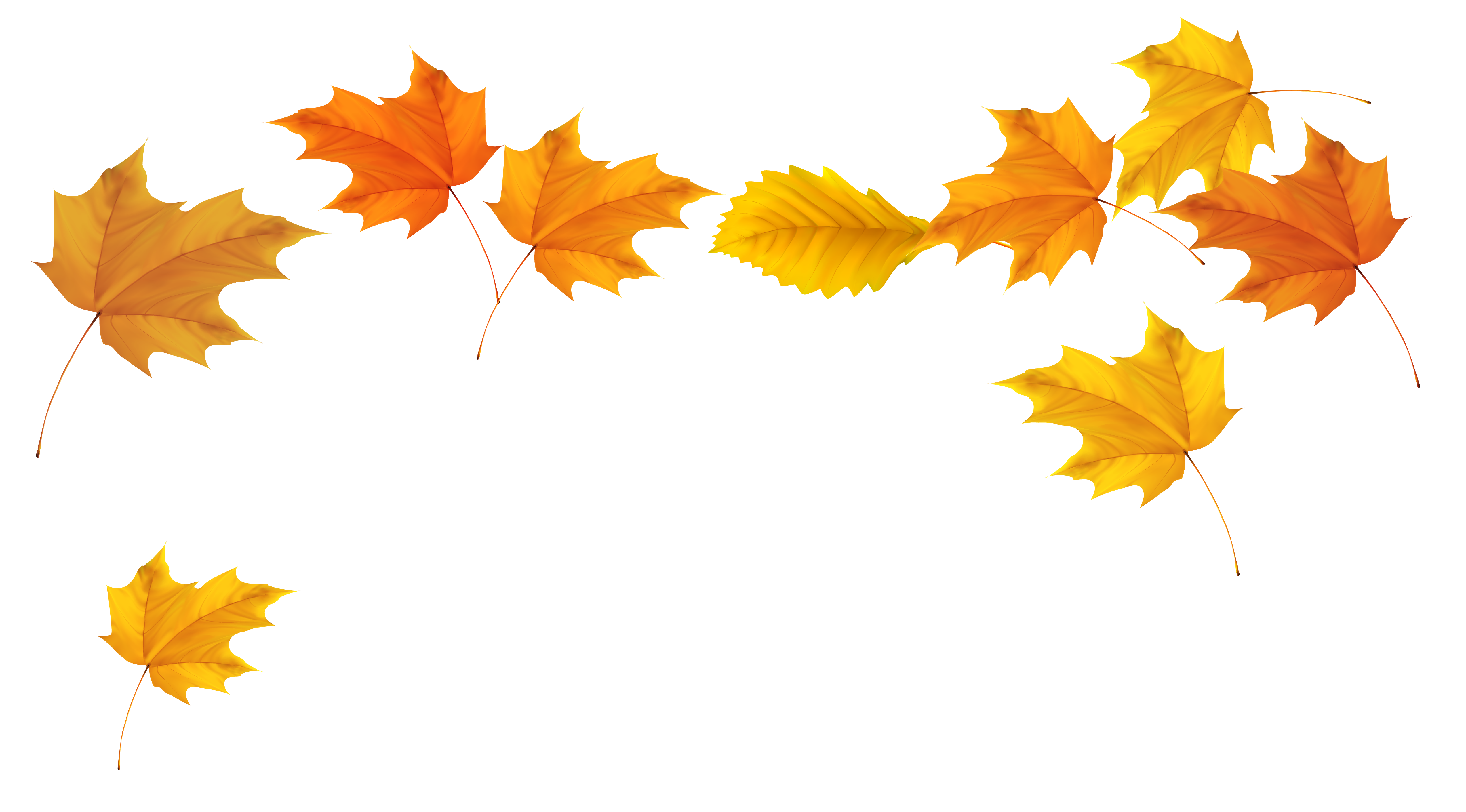 autumn leaf clip art #7