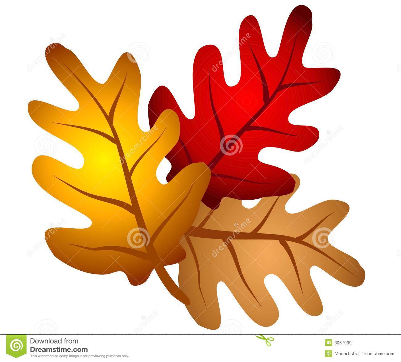 Autumn Oak Tree Leaves Clipart