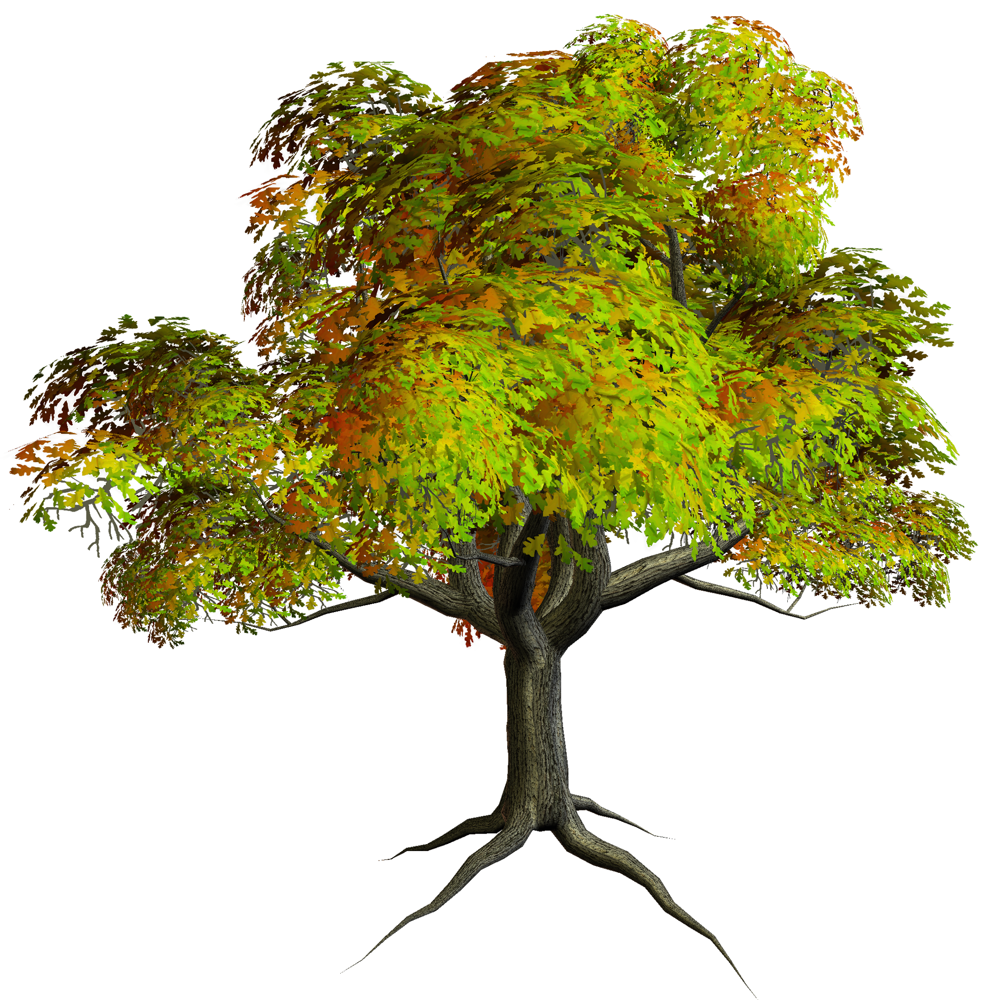 Autumn PNG Tree Clipart