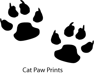 Available Cat Silhouettes