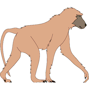 Baboon clipart, cliparts of Baboon free download (wmf, eps, emf, svg, png,  gif) formats