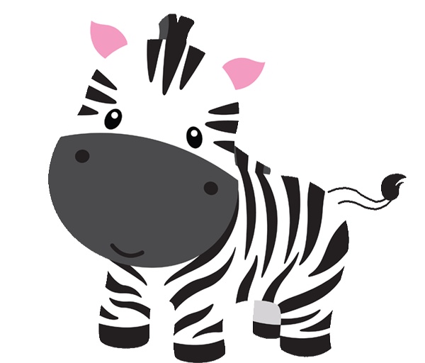Cute Baby Zebra - Zebra .