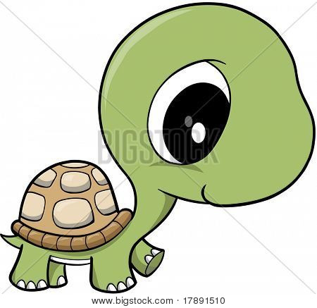 baby turtle clipart