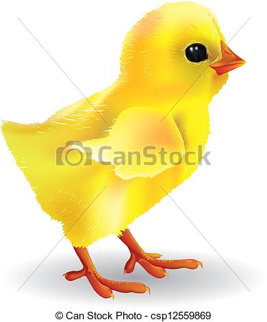 ... Baby chick. Contains tran - Baby Chick Clipart