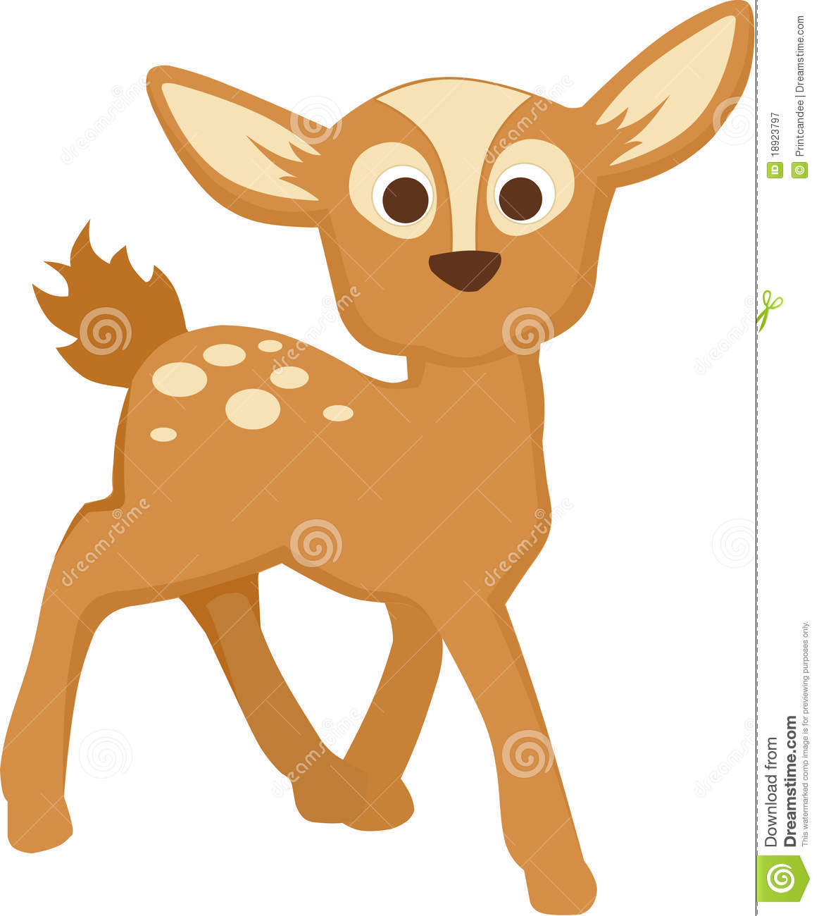 Baby Deer Royalty Free Stock  - Baby Deer Clipart