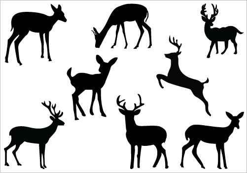 Deer vector art clipart .