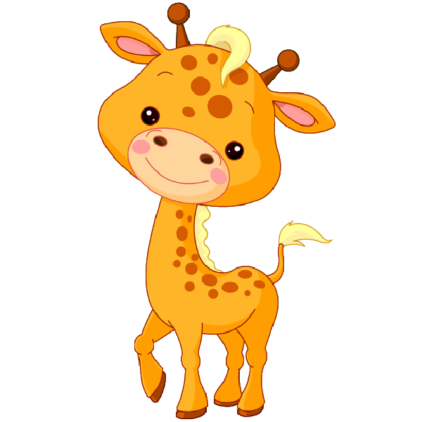 Baby Giraffe Giraffe Images