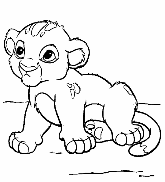 Baby Lion Cub Coloring Pages .