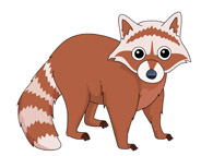 cartoon raccoon: Funny raccoo