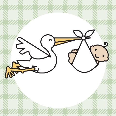 Baby stork clipart stork with baby clipart