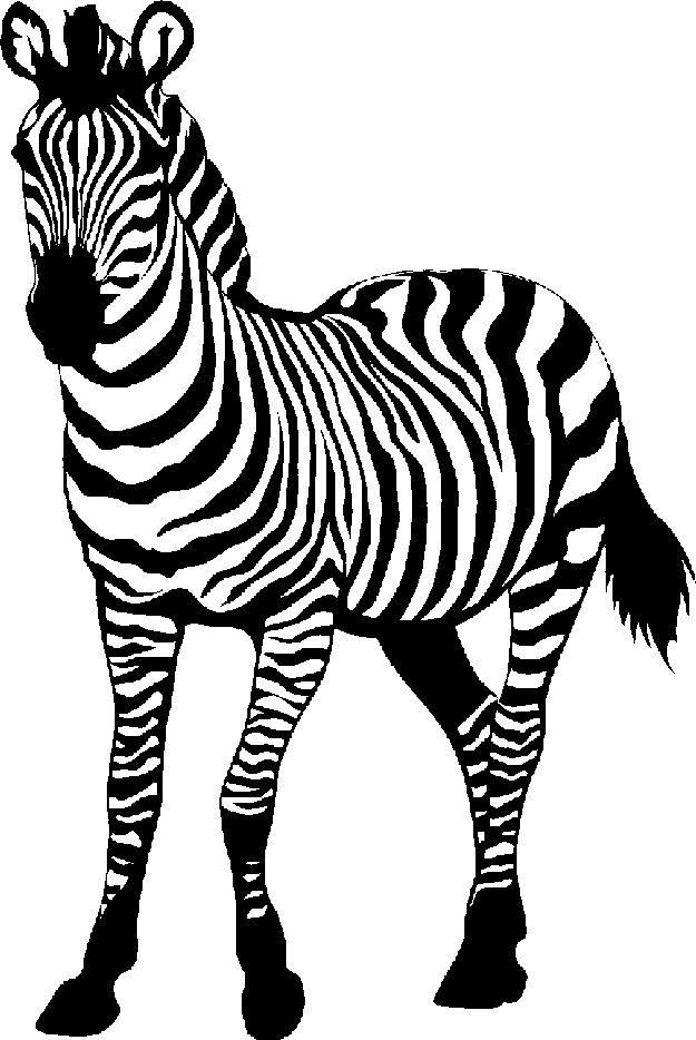 Baby Zebra Clipart - Zebra Clip Art