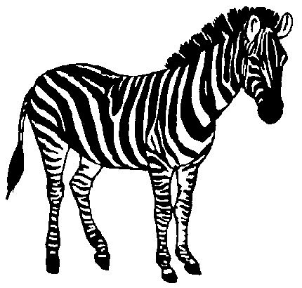 Baby Zebra Clipart. ZEBRA - Clip Art Zebra