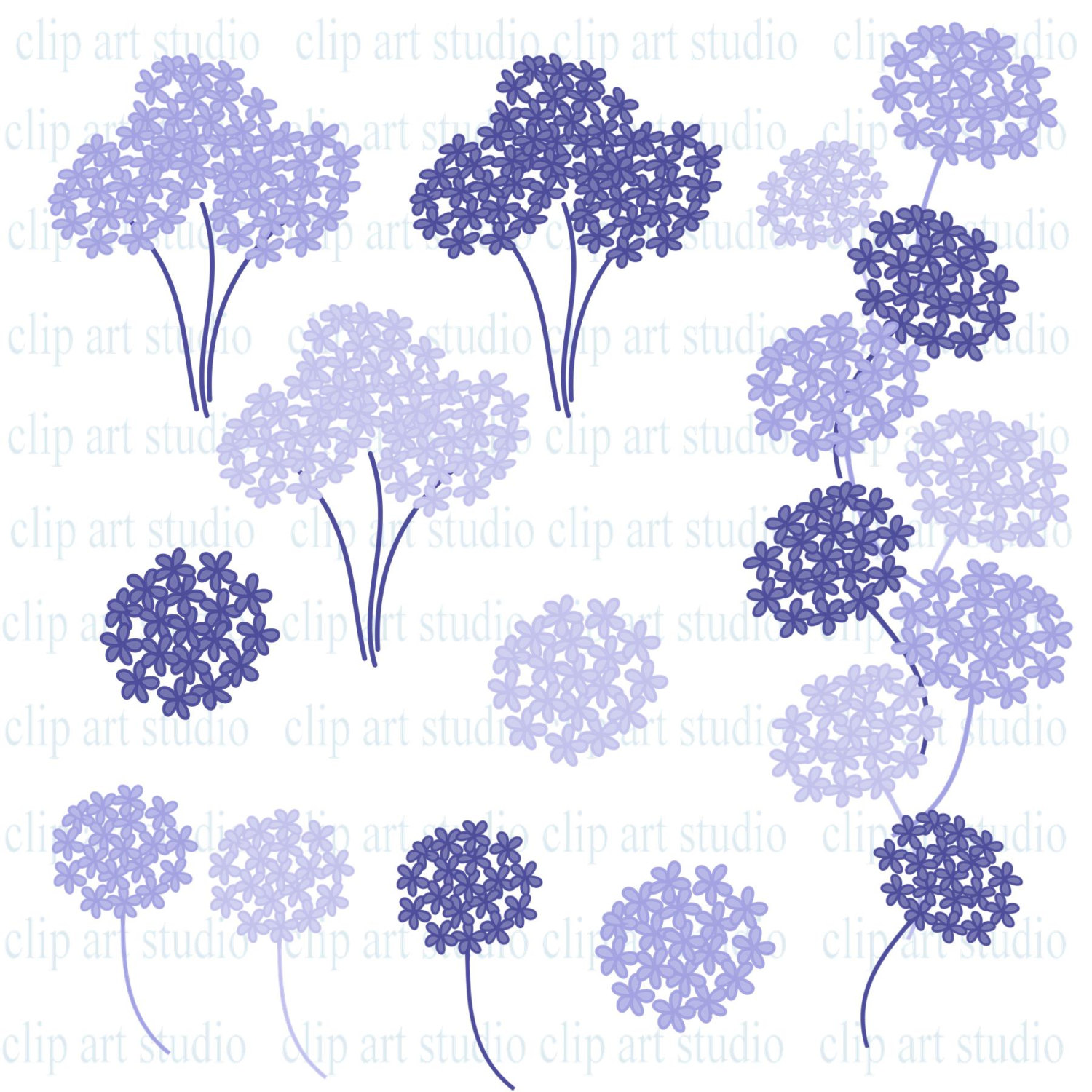 Back Gallery For Hydrangea Flower Clip Art
