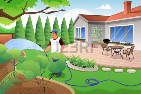 backyard: A vector illustration of man watering his grass and garden in the backyard Illustration