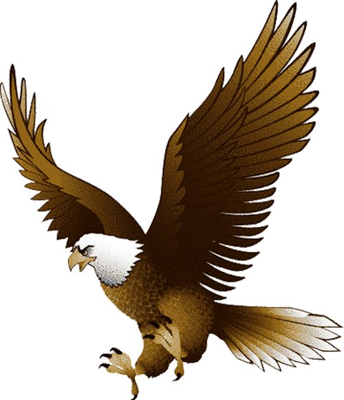 Bald Eagle Clip Art - Flying Eagle Clipart