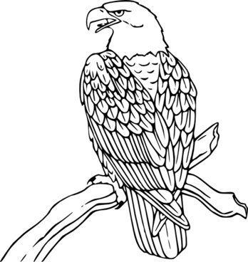 Free eagle clipart black and 