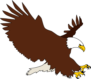 Bald eagle clip art related .