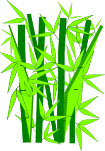 bamboo clipart - Bamboo Clip Art