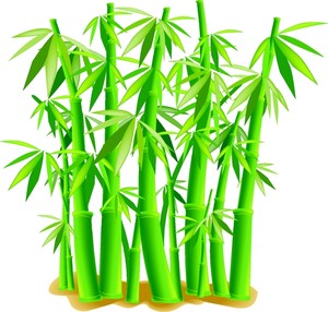 bamboo clipart