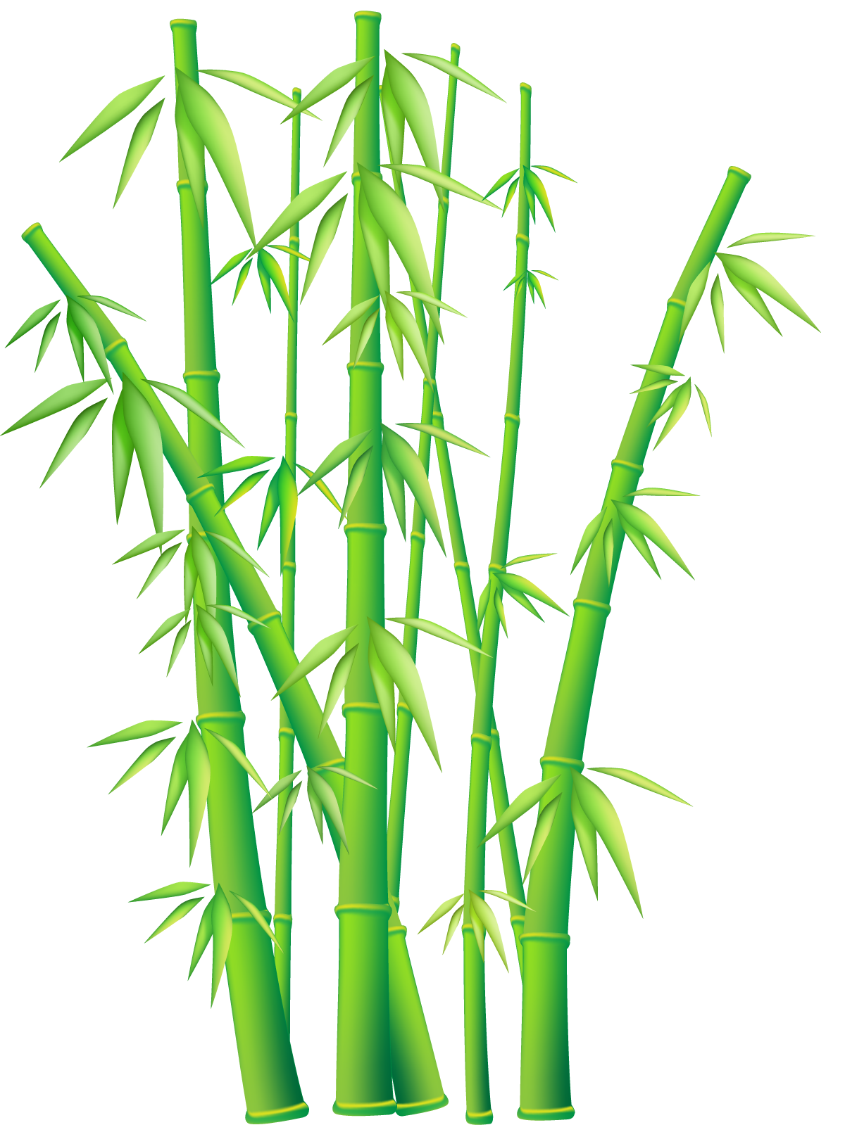 Bamboo Border Free Download - ClipArt Best ...