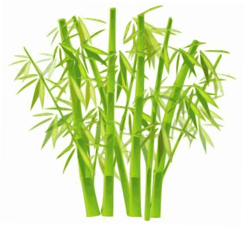 Green Bamboo Stems With Leave
