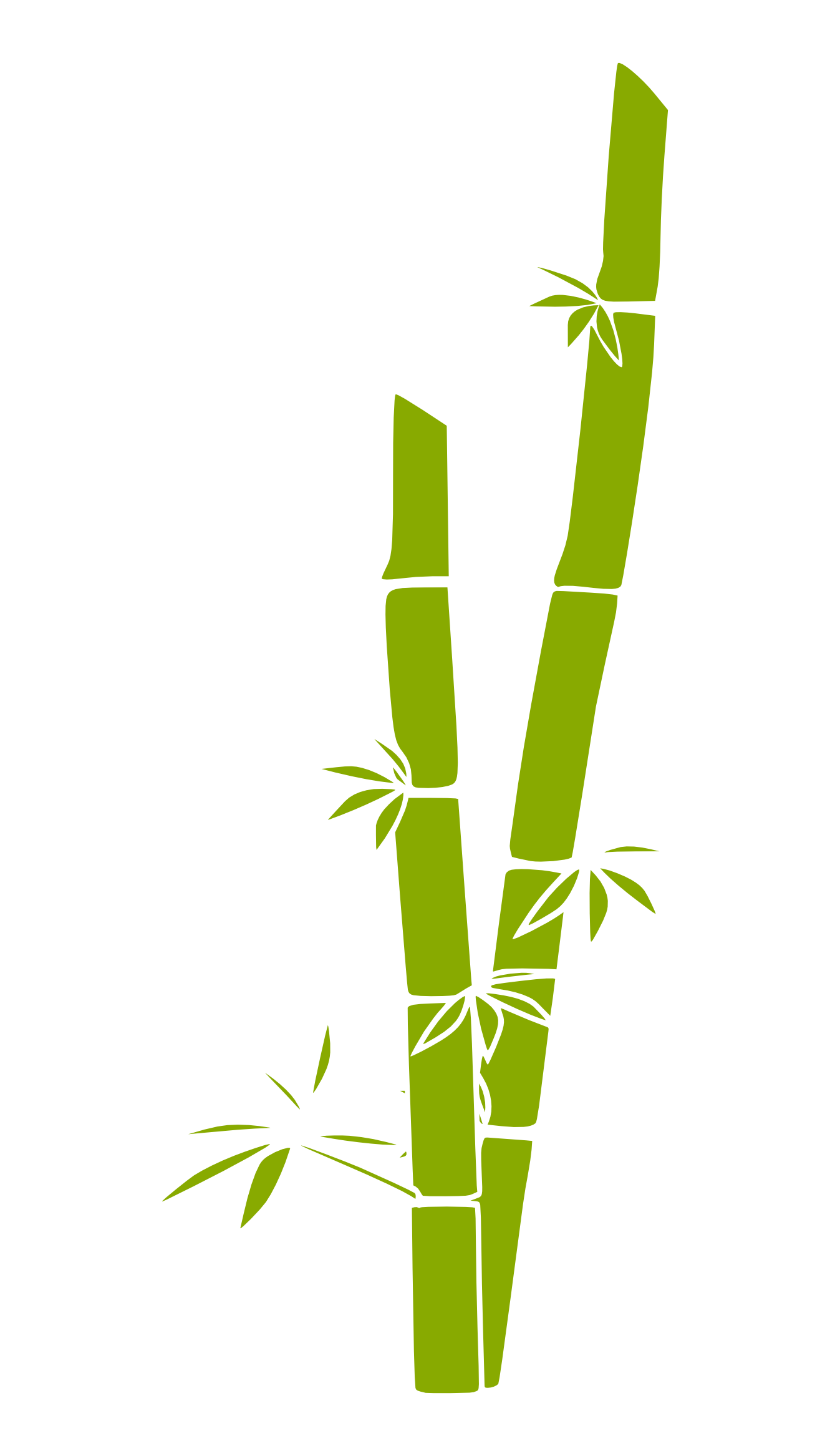 Green Bamboo Stems With Leave