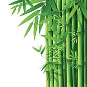 bamboo shoot; bamboo leaves . - Bamboo Clip Art