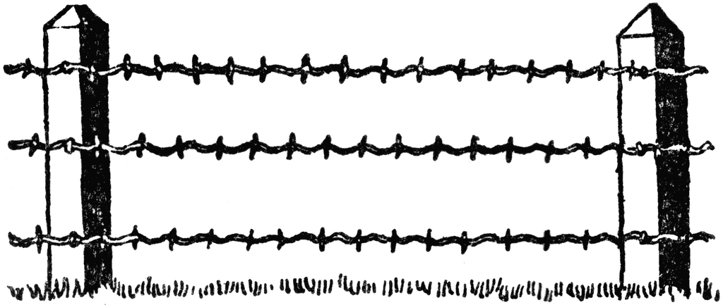 ... Barbed wire - Rows black 