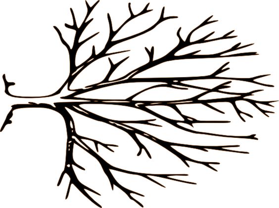 Bare Tree Branch Clip Art ..