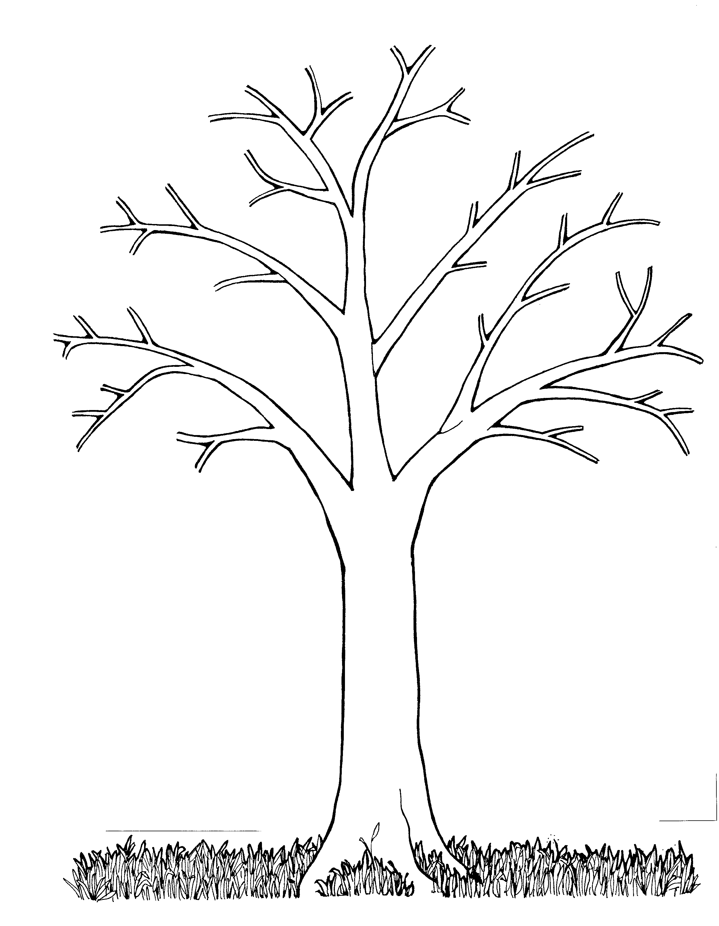 Bare tree clip art - Bare Tree Clipart