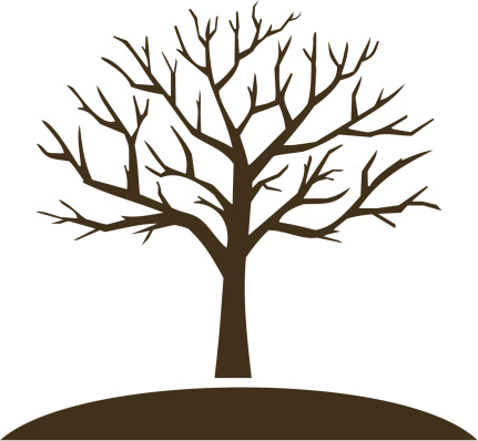 Leafless Tree Clip Art Images