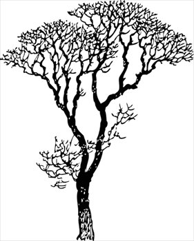 bare-tree - Free Clipart Trees