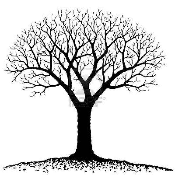 Bare Tree Royalty Free Clipar - Family Tree Clipart