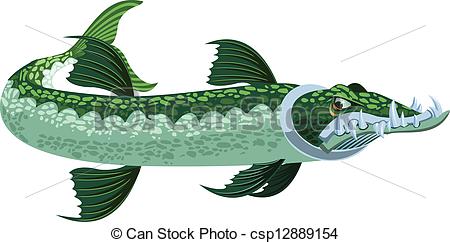 ... Barracuda - a cartoony/stylized looking greenish barracuda.