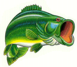 Bass Fishing Clipart | Vector