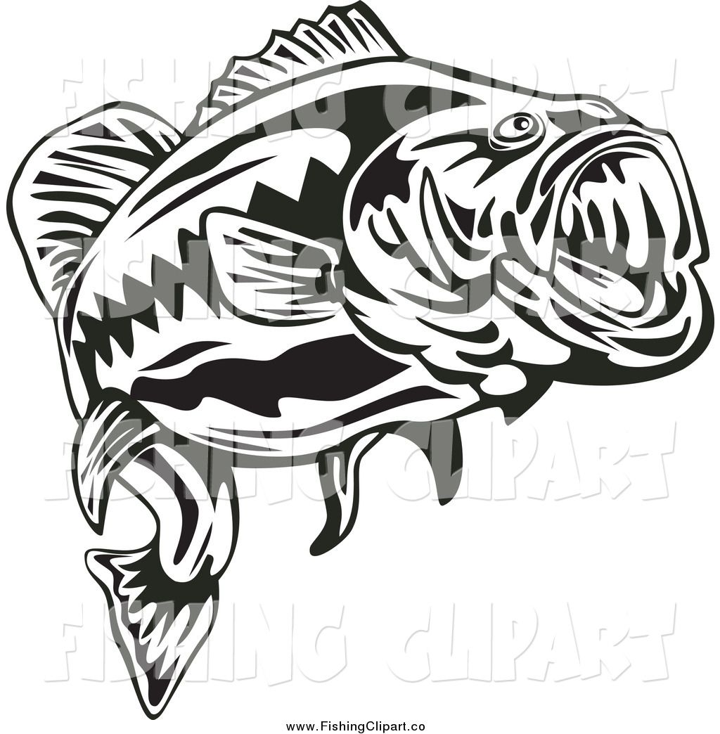 bass fish clip art black and 