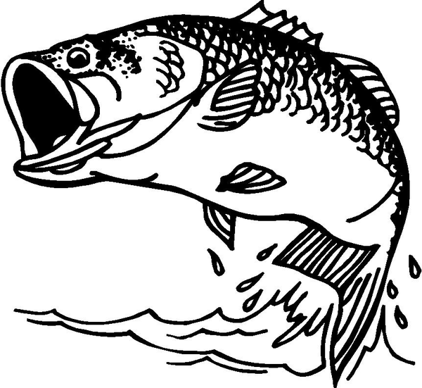 Bass Fish Black And White Cli - Bass Clip Art