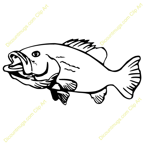 Bass Fish Clip Art Bass .