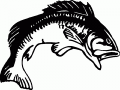 bass fish clipart - Bass Fish Clip Art